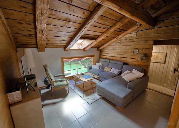 Les Mayens Chalet Leysin